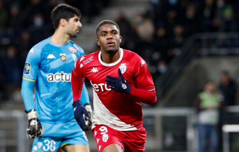 引进所罗门 引进所罗门