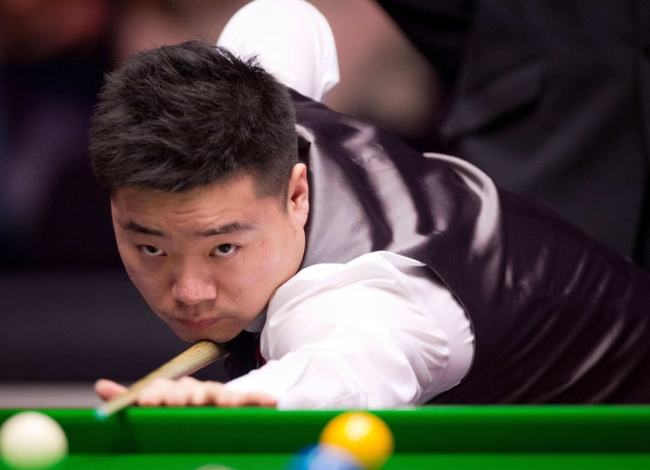 样性上下更 样性上下更