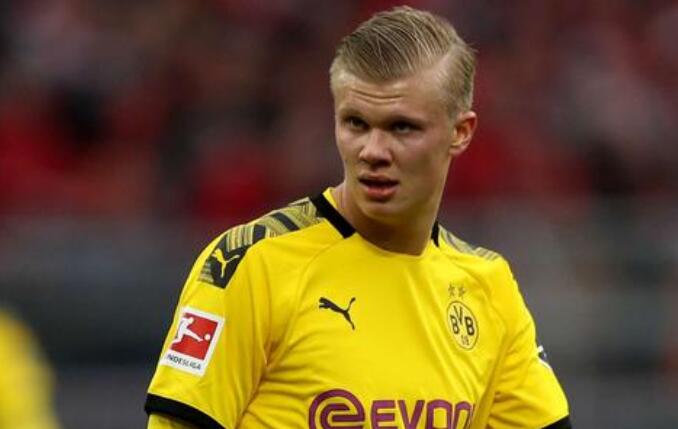 却仍净增 却仍净增